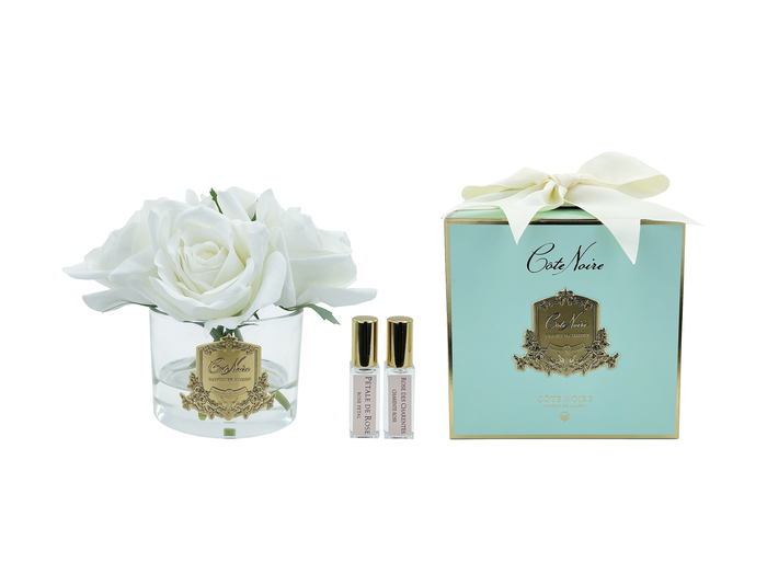Five roses ivory - limited edition Gold crest